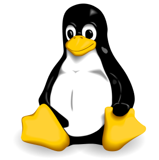 Operating System