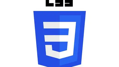 CSS